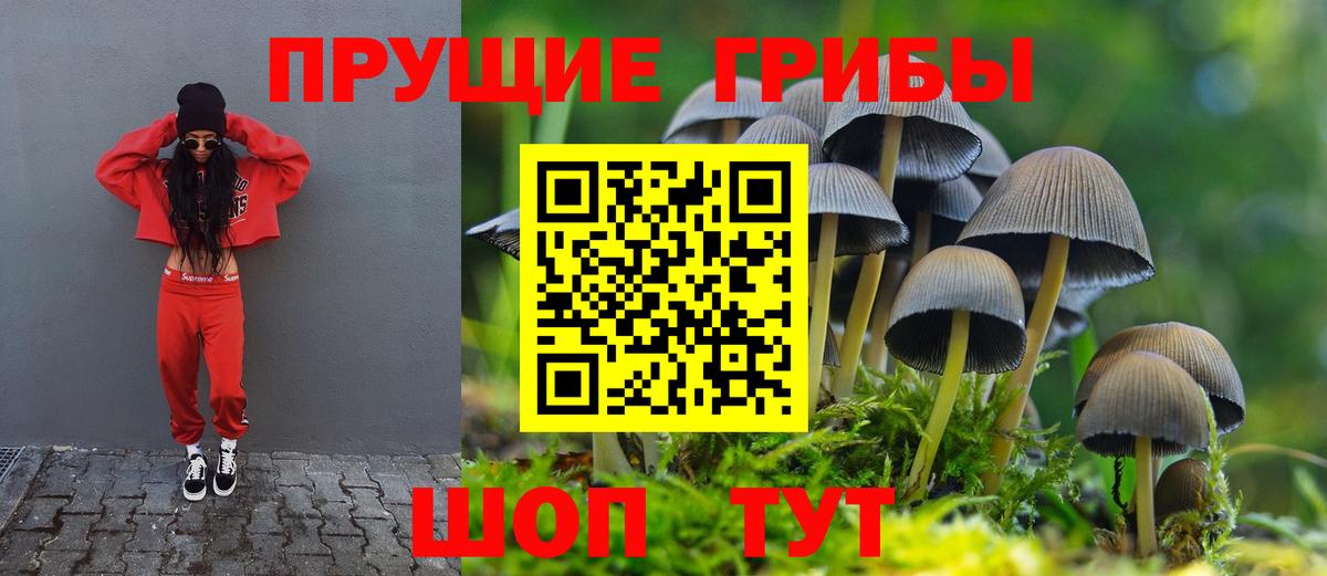 Галлюциногенные грибы GOLDEN TEACHER Борисоглебск